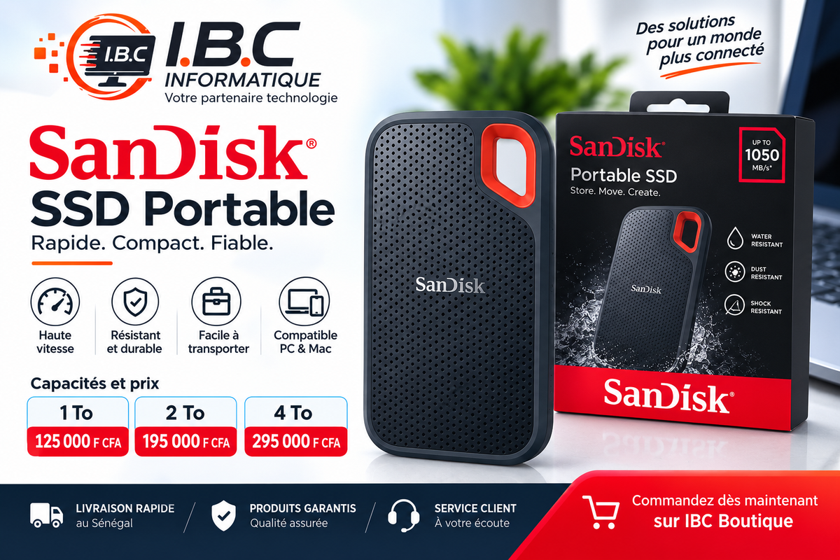 SanDisk SSD Portable