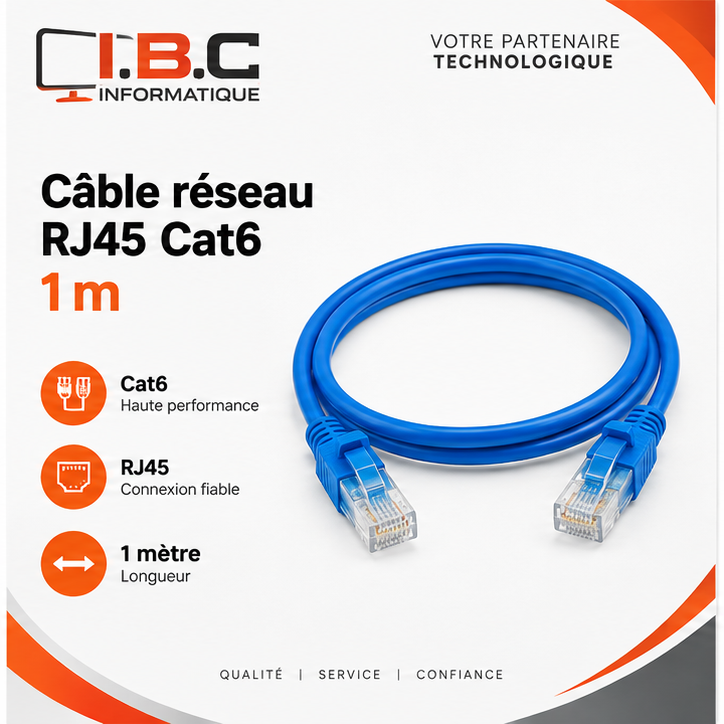 Câble réseau RJ45 Cat6 1 m