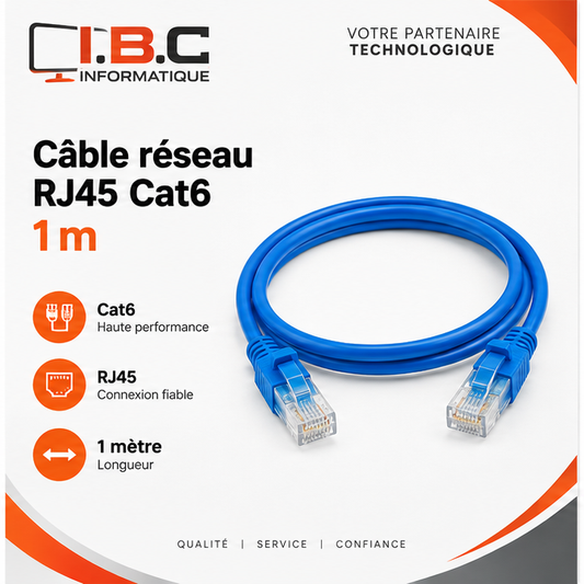 Câble réseau RJ45 Cat6 1 m