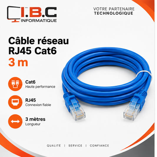 Câble réseau RJ45 Cat6 3 m